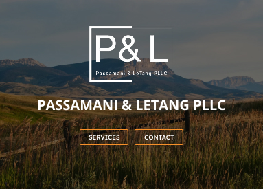 p&l-img (1)